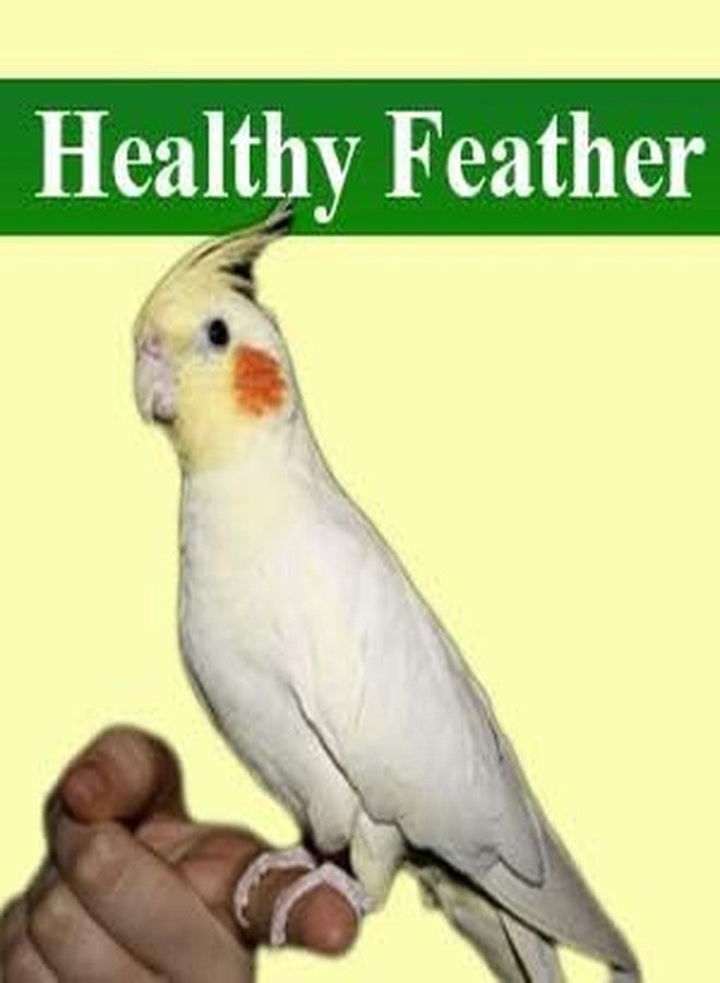 Sage Square Natural Calcium Source Cuttlebone Fish, Natural Mineral Block, Calcium, for Birds, Parrot (200grm) - Image 3